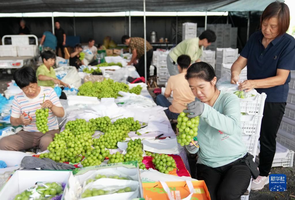 ag捕鱼视频直播